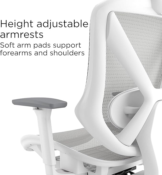 STAPLES Ergonomic Task Chair, Lumbar Support