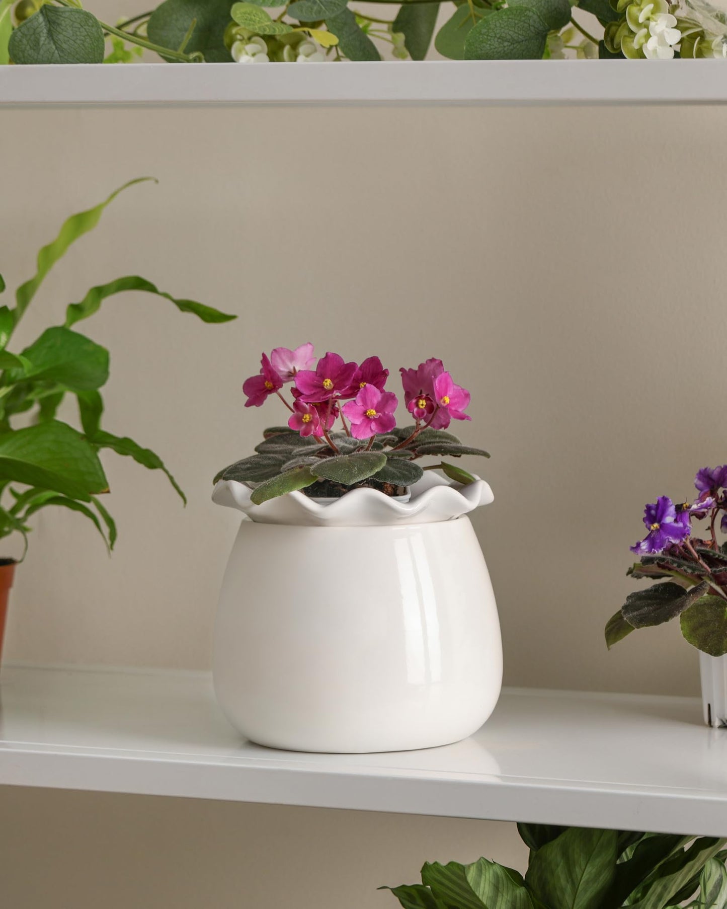 Fayoula Self Watering Plant Pot, 6 Inch African Violet Pots Maintenance, Ceramic Self-Watering Planter for Indoor Plants - Ideal Flower Pot for Thriving Indoor Gardens, White