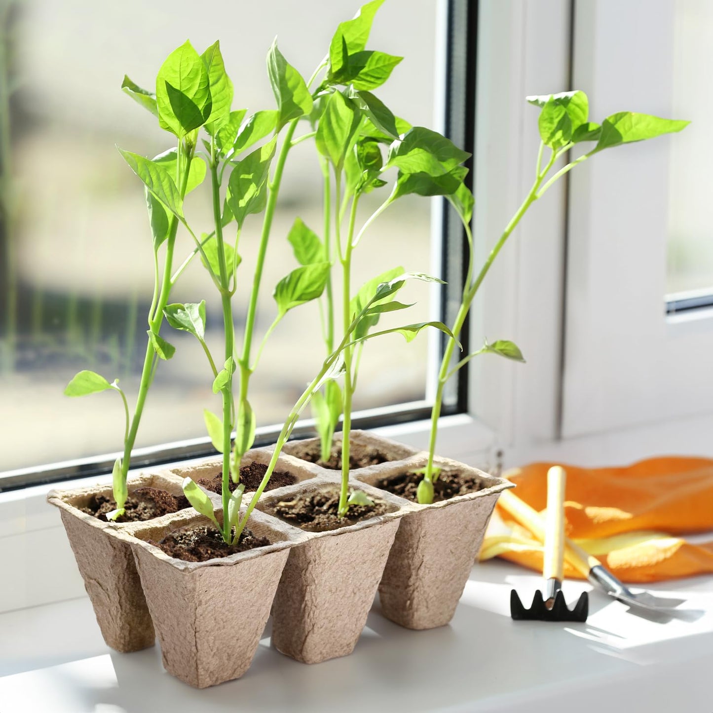 Doter 10 Packs Seedling Starter Trays 120 Cells, Biodegradable Seed Germination Trays Plant Starter Peat Pots for Seedlings