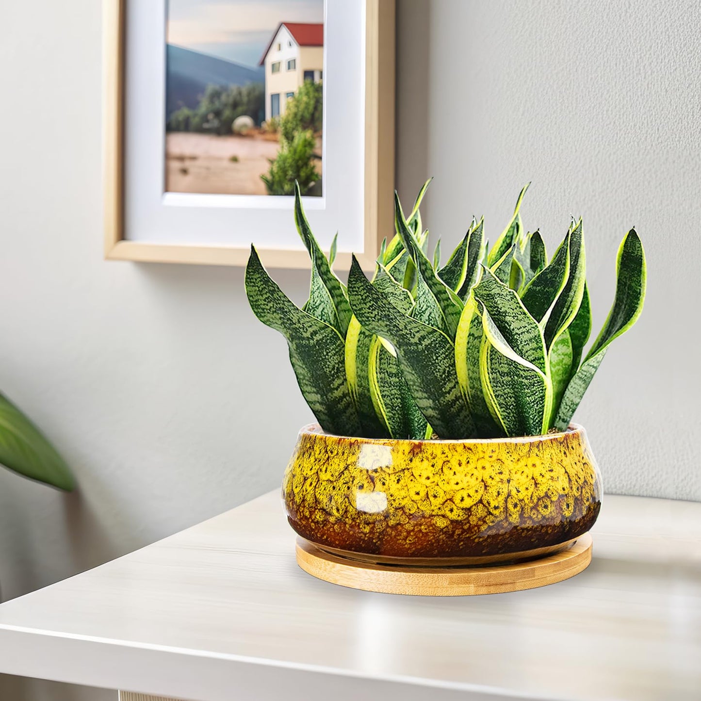 ARTKETTY Succulent Pots - 8 Inch Plant Pot, Large Bonsai Pots with Drainage Tray, Ceramic Planters for Indoor Outdoor Plants, Round Shallow Cactus Flower Plant Container Bowl Decorative Home Garden