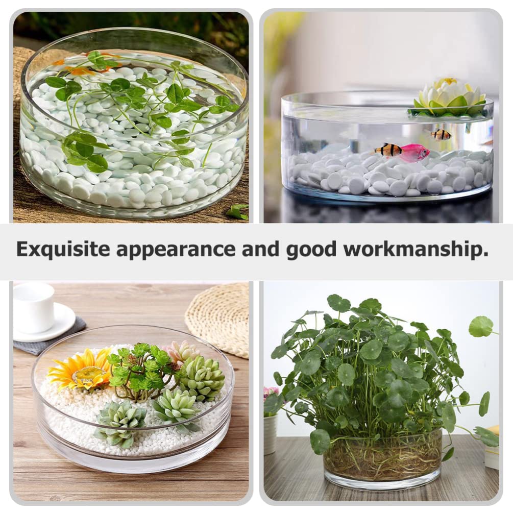 Wide Glass Cylinder Vase, 4" Tall x 8" Wide Thick Heavy Duty Glass Vase for Flower, Plants - Decorative Glass Bowl for Succulents, Indoor Plants, Terrarium, Hydroponic Gardening, Home Decor