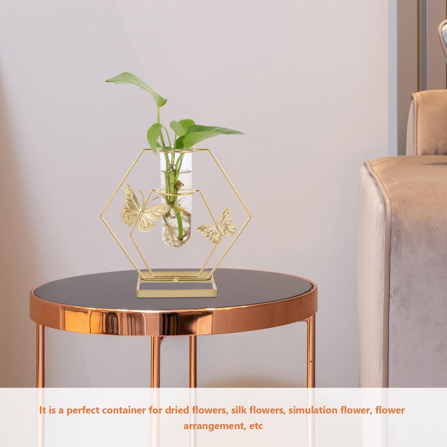 DECORNIJIA Metal Framed Glass Vase with Butterfly Pattern, Hexagonal Hydroponic Flower Pot for Desktop Decoration, Home Terrarium Plant Holder for Living Room Table