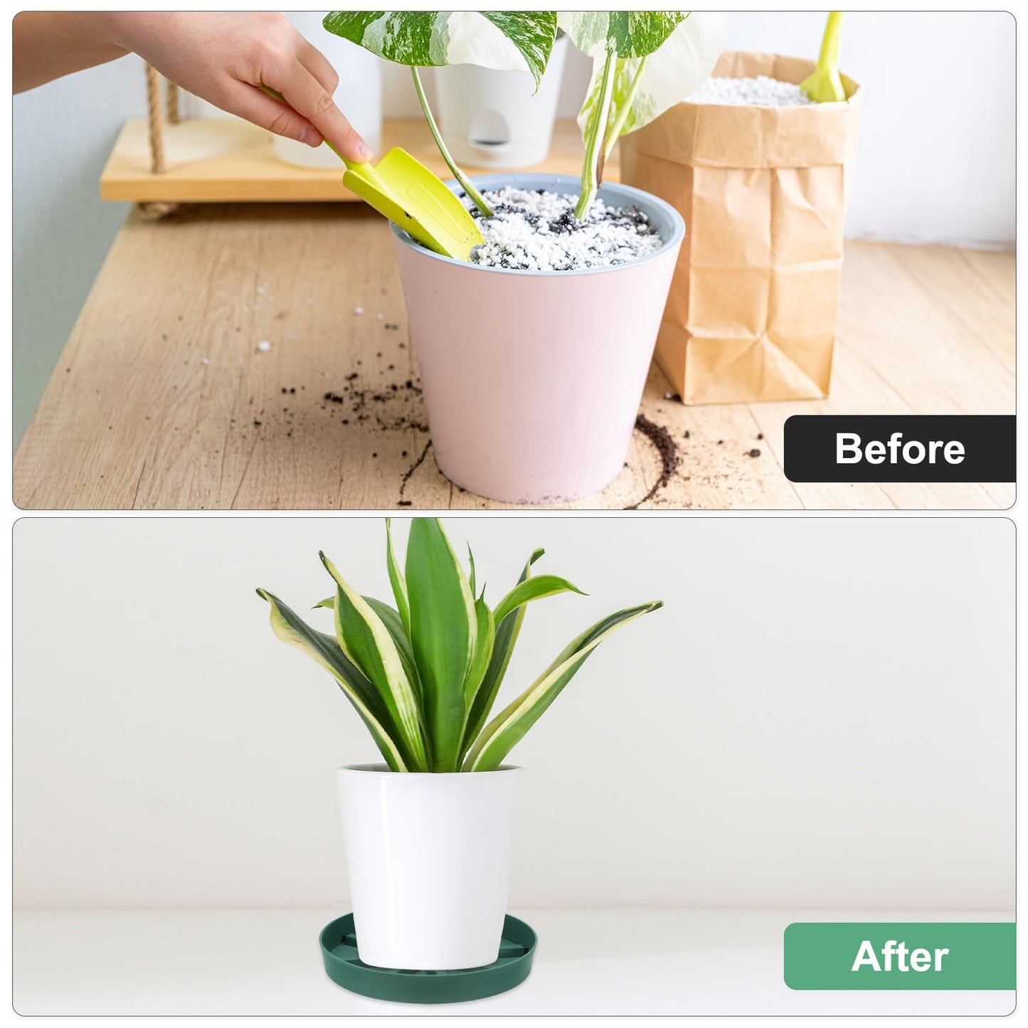 M METERXITY 2-Pack Plant Saucer, 9 Inch Flower Pot Saucers, Thicker Anti-Rot Root Plastic Plant Saucer for Indoor/Outdoor Potted Plant/Plant Water Catcher Tray [Green]