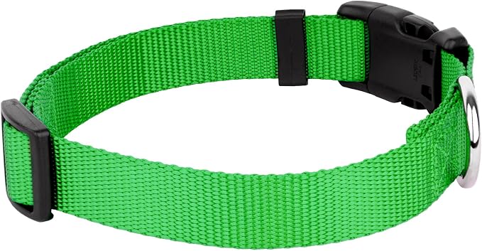 Country Brook Petz - Everyday Nylon Dog Collar and Leash - 10+ Cool Colors (3/8 Inch, Extra Small, Hot Lime Green)