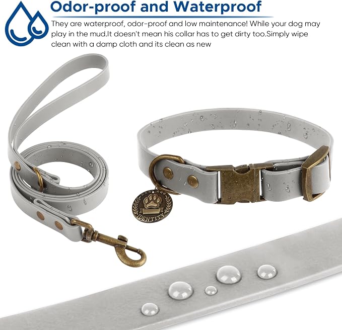 Wisedog Waterproof Dog Collar and Leash Set, Grey, M | Adjustable Puppy Collar, Cute Tag, 5FT Leash, Includes Poop Bag, For Small Medium Large Dogs