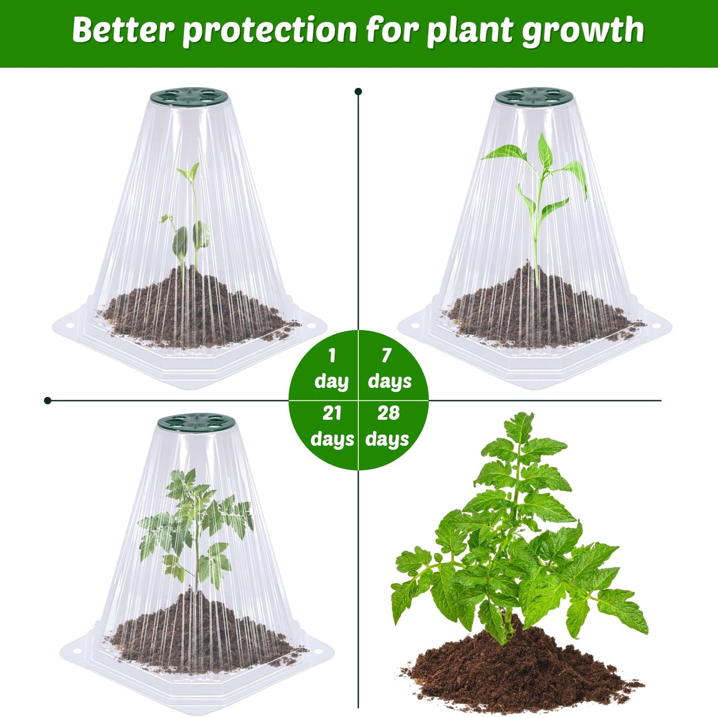 VICAMB 20 Pack Garden Cloches for Plants with 40PCS Ground Stakes,Clear Reusable Bell Covers with Rotatable Vent for Plant Protection,Garden Protector from Animals Birds Chicken,7.9" H X 6.7" D