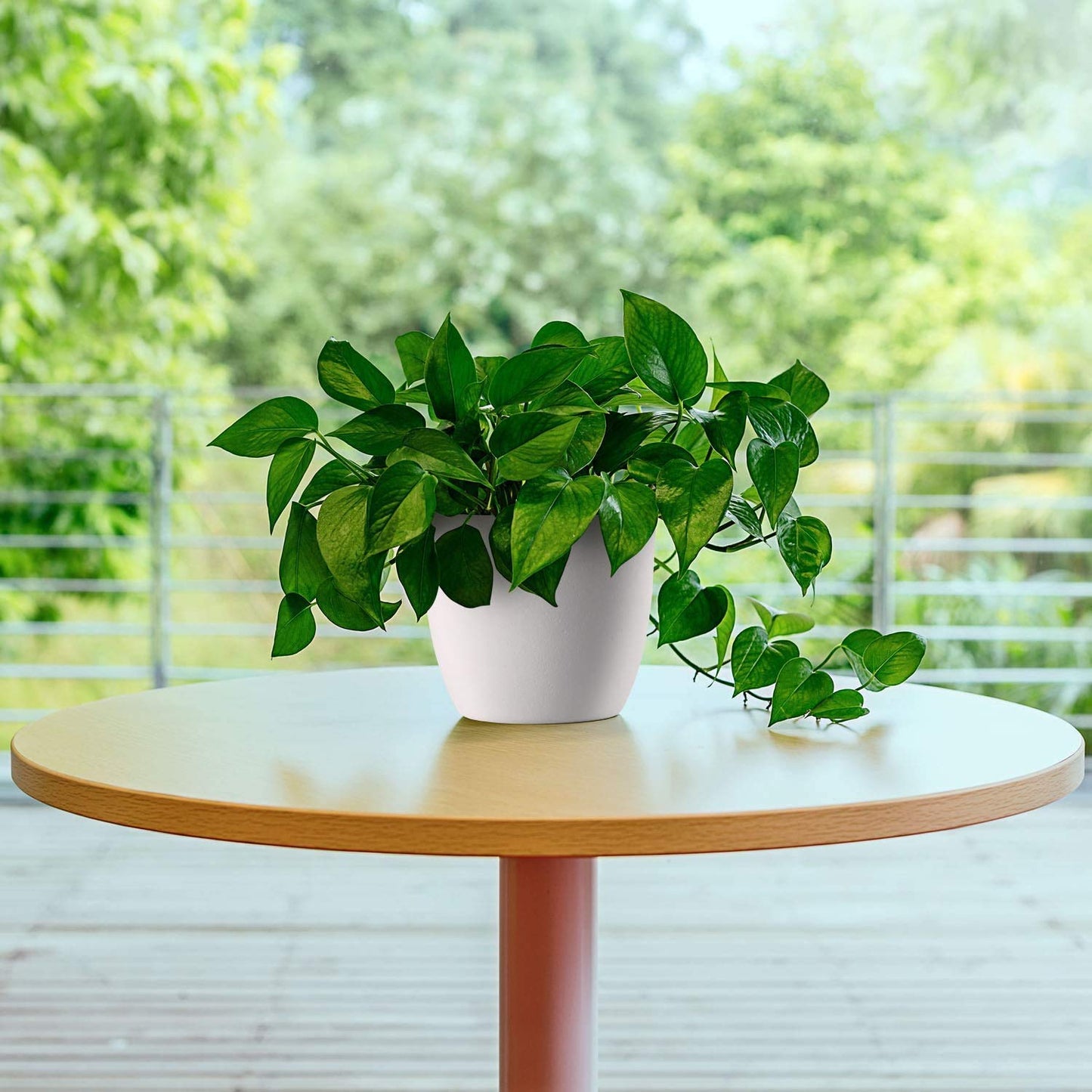T4U Self Watering Planters Plastic 6 Inch White Set of 10, Plant Flower Pot Modern Decorative Seeding Nursery Pots Outdoor Indoor Garden for All House Plants Flowers Herbs African Violets