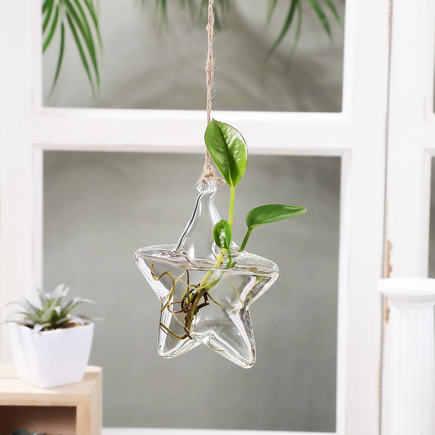 NUOBESTY Hanging Glass Flower Vase Hydroponic Glass Planter Marine Shape Small Terrarium Pot for Indoor Plant Propagation Home Décor