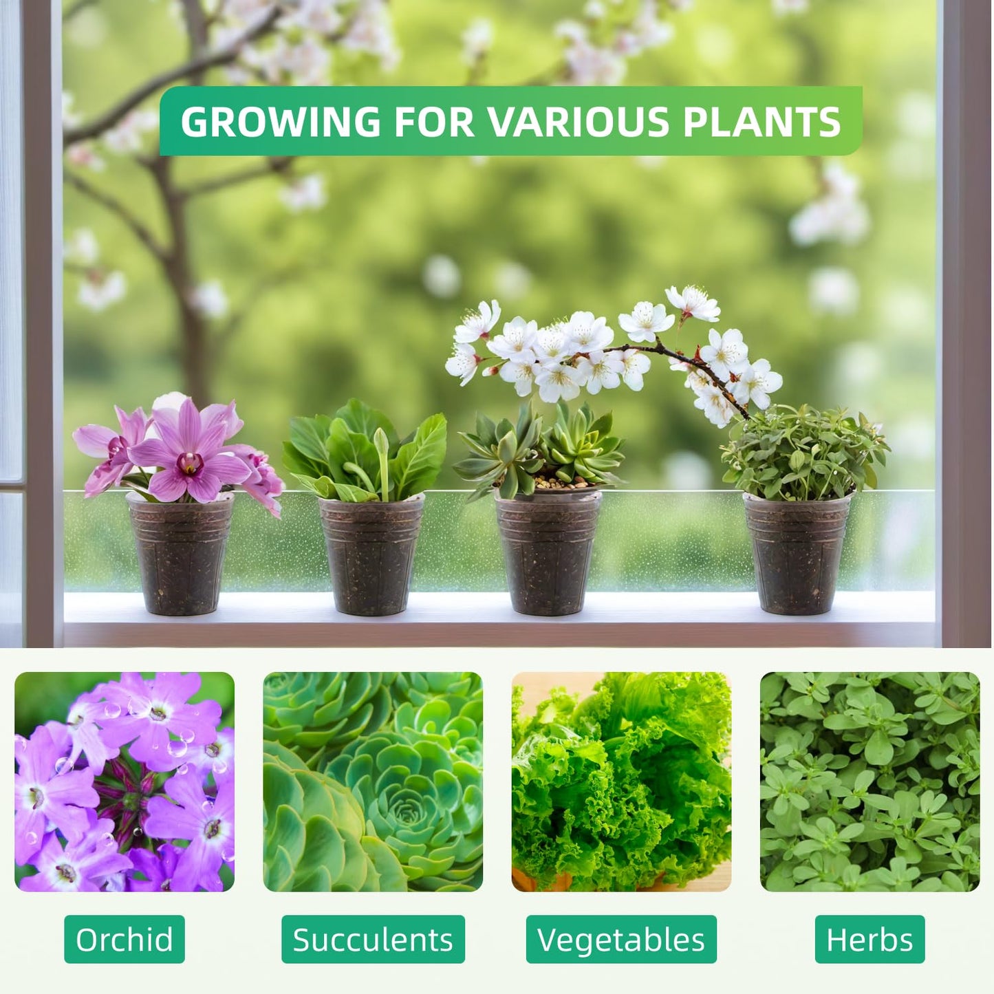 RooTrimmer 5-Pack 32 Cell Seedling Trays & 160 Pack 2" Soft Clear Nursery Pots -Thickened Durable Plant Starter Kit for Seed Germination (5 Sets)
