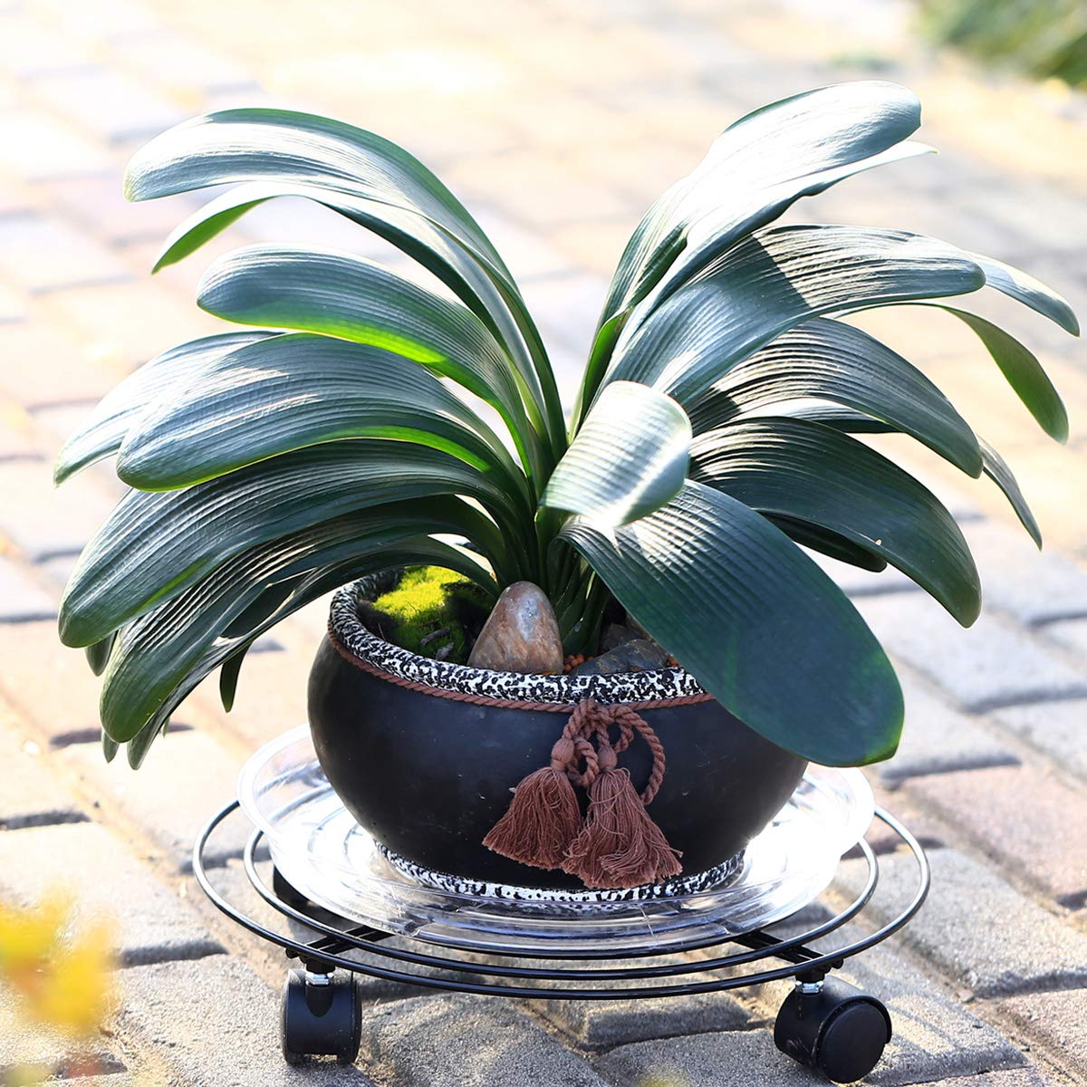 8 Packs Large Metal Plant Caddy with Wheels 13" and 11.8" Heavy-Duty Wrought Iron Rolling Plant Stands with Casters Plant Dolly Plant Roller Base Indoor and Outdoor Plant Pot Movers Planter Rollers