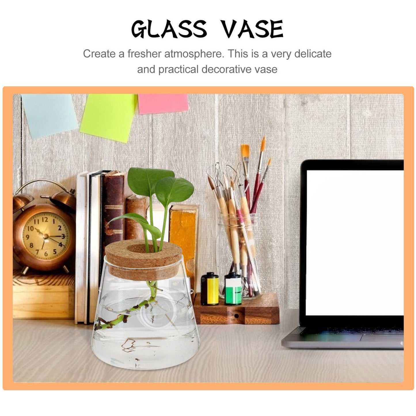 SOLUSTRE 2pcs Glass Hydroponic Plant Vases with 6.5cm Opening, Glass Terrarium for Water Propagation, Small Desktop Home and Office Garden Decoration