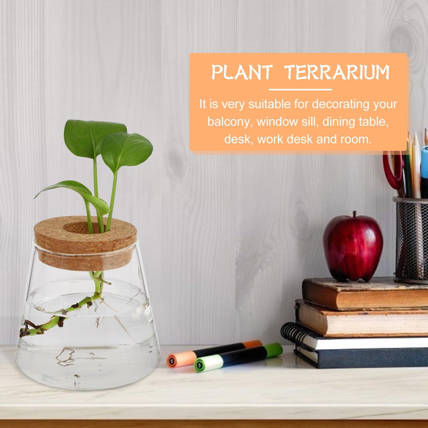 BESPORTBLE Glass Hydroponic Planter Vase 2pcs, 6.5cm Mouth Diameter Glass Plant Pots for Indoor Garden Decoration and Desktop Plant Propagation, Home Office Terrarium Environment