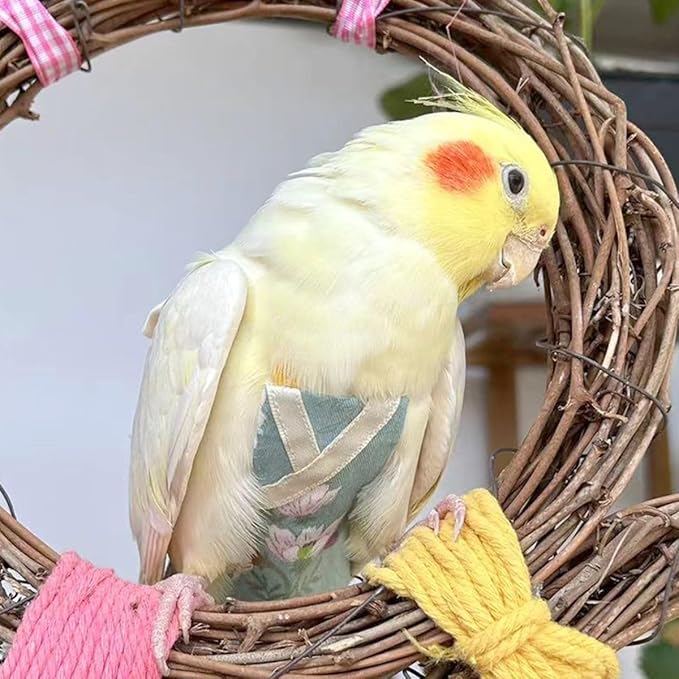 Bird Flight Suits Diapers, Parrot Flight Suits Diapers for Quaker Parakeets Cockatiels Conures Macaw African Grey, Bird Diaper, Parrot Clothes (Purple A,L)