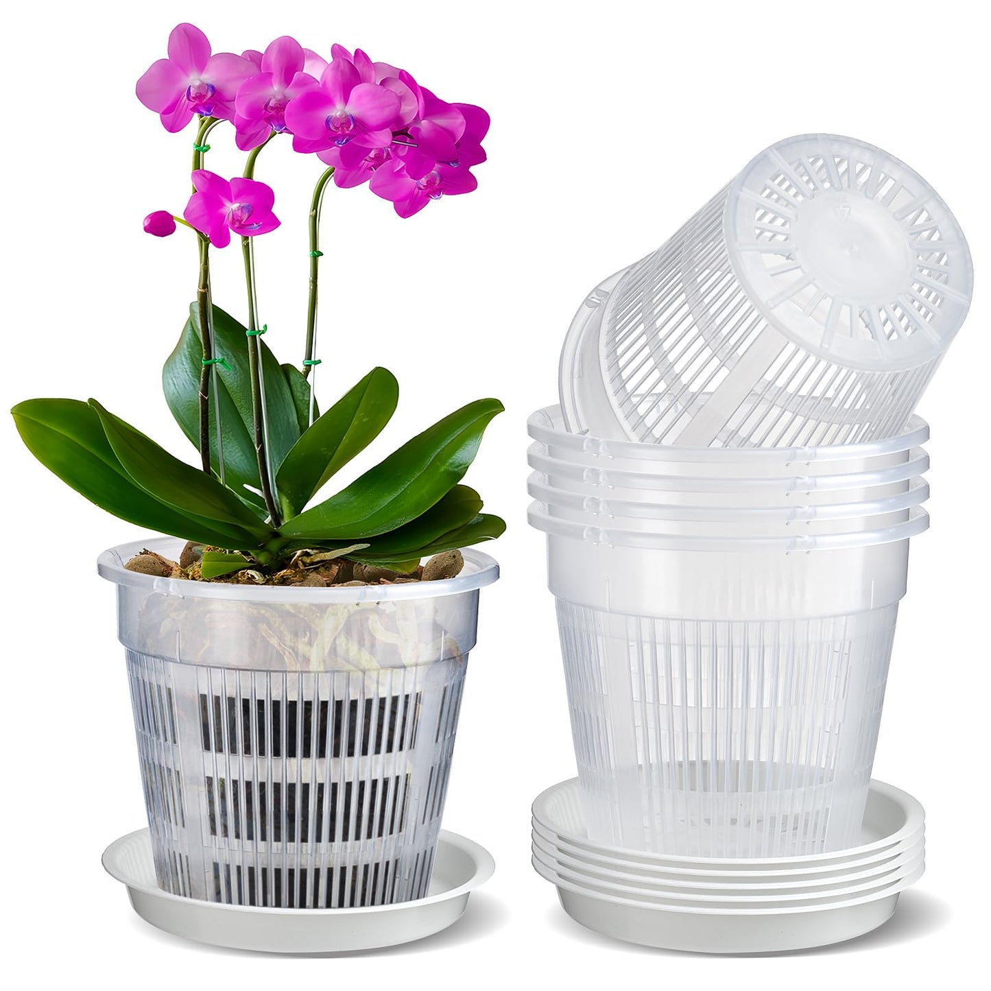 MYITYARD Orchid Pot, 6 Pack 6 Inch Orchid Pots with Holes & Saucers for Repotting - Clear Plastic Plant Pots for Indoor Outdoor Flower Planters Dendrobium Phalaenopsis