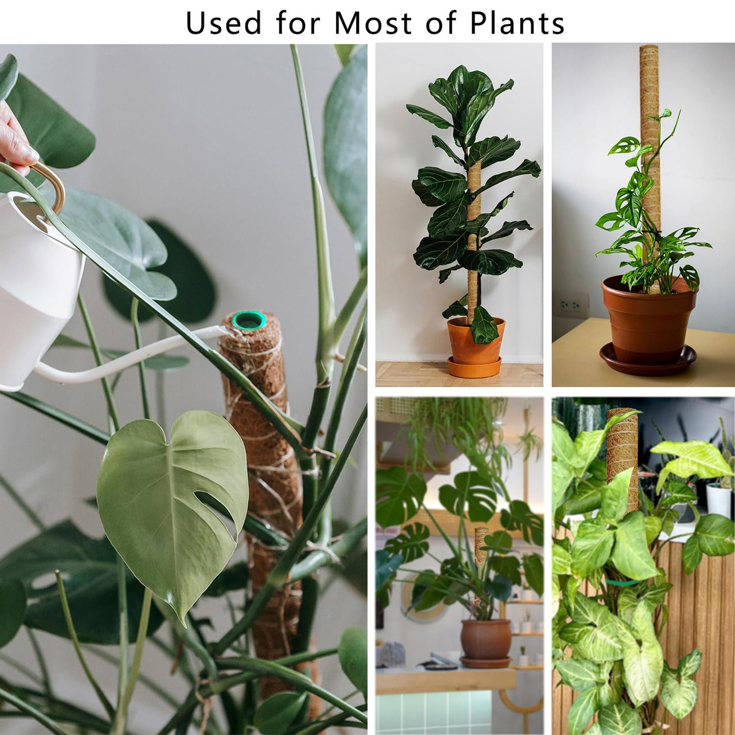 AHQDPFMY Moss Pole, 53.5 Inch Monstera Plant Support, Moss Sticks for Indoor Plants Climbing Coco Coir Pole, 4 Pack 17 Inch Stackable Moss Pole for Plants