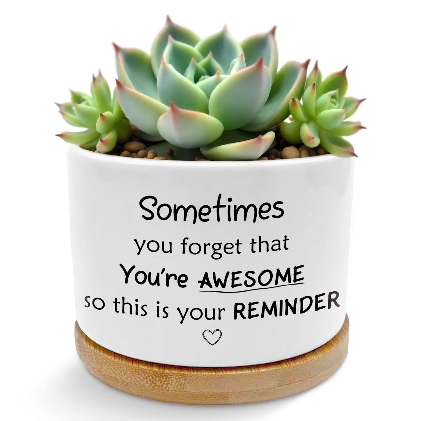 ROXMART Sometimes You Forget Your Awesome Gifts Plant Pots, Thank You Gifts for Men Women Coworkers Friends Succulent Planters, Ceramic Plant Flower Pots for Home Office Desk Table Shelf(No Plants)