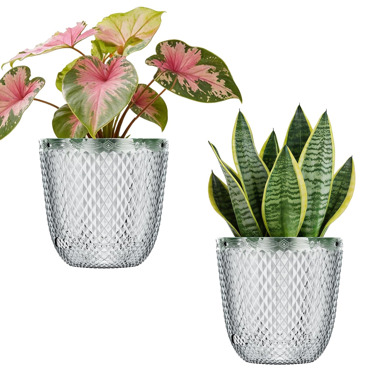 QCQHDU 2 Pack Self Watering Pots, 7.2 Inch Flower Pots with Drainage Holes and Water Filling Port, Plastic Garden Planter for Indoor Outdoor Plants (Clear)