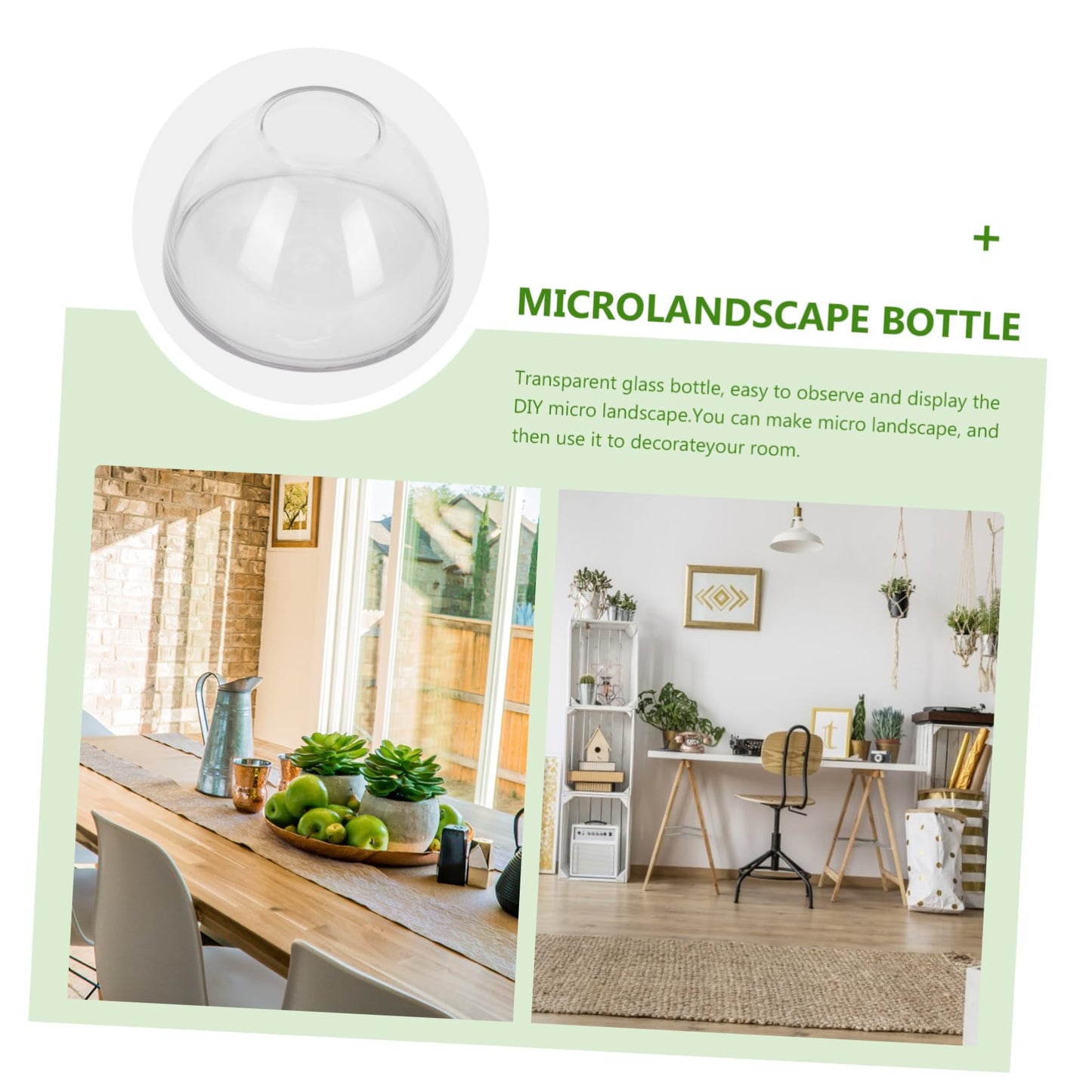 YARNOW Landscape Bottle Glass Terrarium for Home Decor Indoor Plants and Display Diameter Height for Creative Miniature Gardens