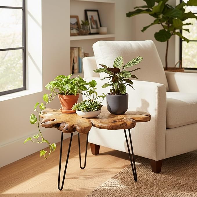 WELLAND Rustic Cedar Live Edge Coffee Table