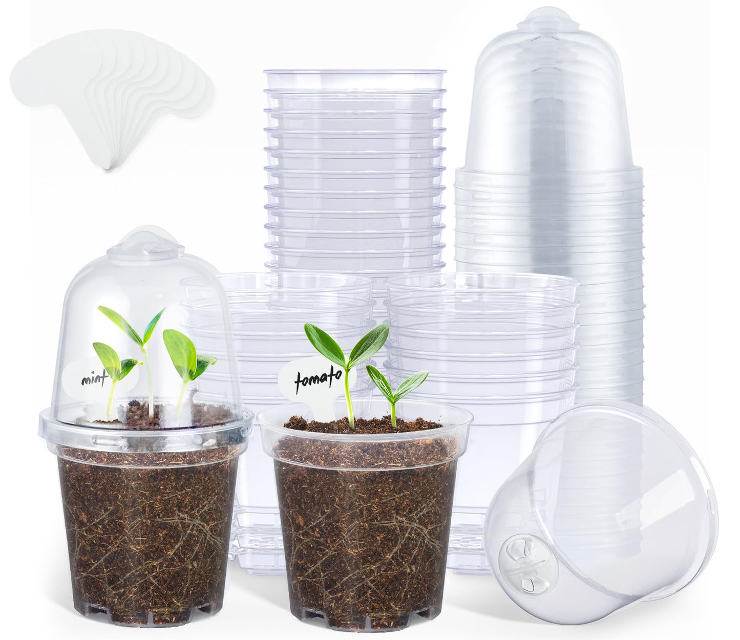 homenote Clear Nursery Pots for Plants,3 Inch Plant Pot for Planting with Humidity Domes Plastic Seedling with Drainage Holes Seed Starter Flower High Transparency (30 Pack)