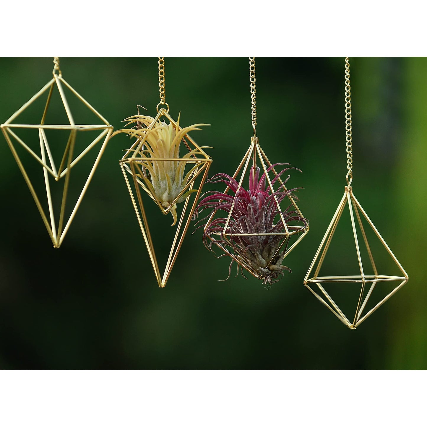 4Pcs Hanging Metal Air Plant Holder with Chain Mini 2 Style Tillandsia Geomitric Airplants Hanger Air Fern Cage Decor for Home and Office