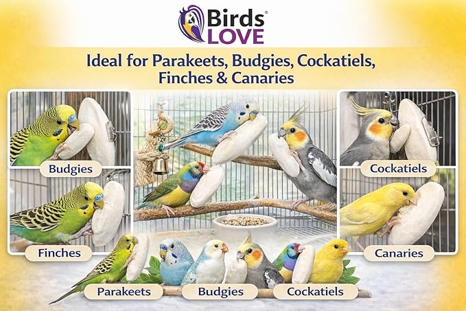 Birds LOVE 3.5-4″ Cuttlebone for Birds – 100% Natural Sun-Dried Calcium & Beak Conditioning Supplement for Parakeets, Budgies, Cockatiels, Finches & Canaries – 2 Pack with Holder – Made in Vietnam