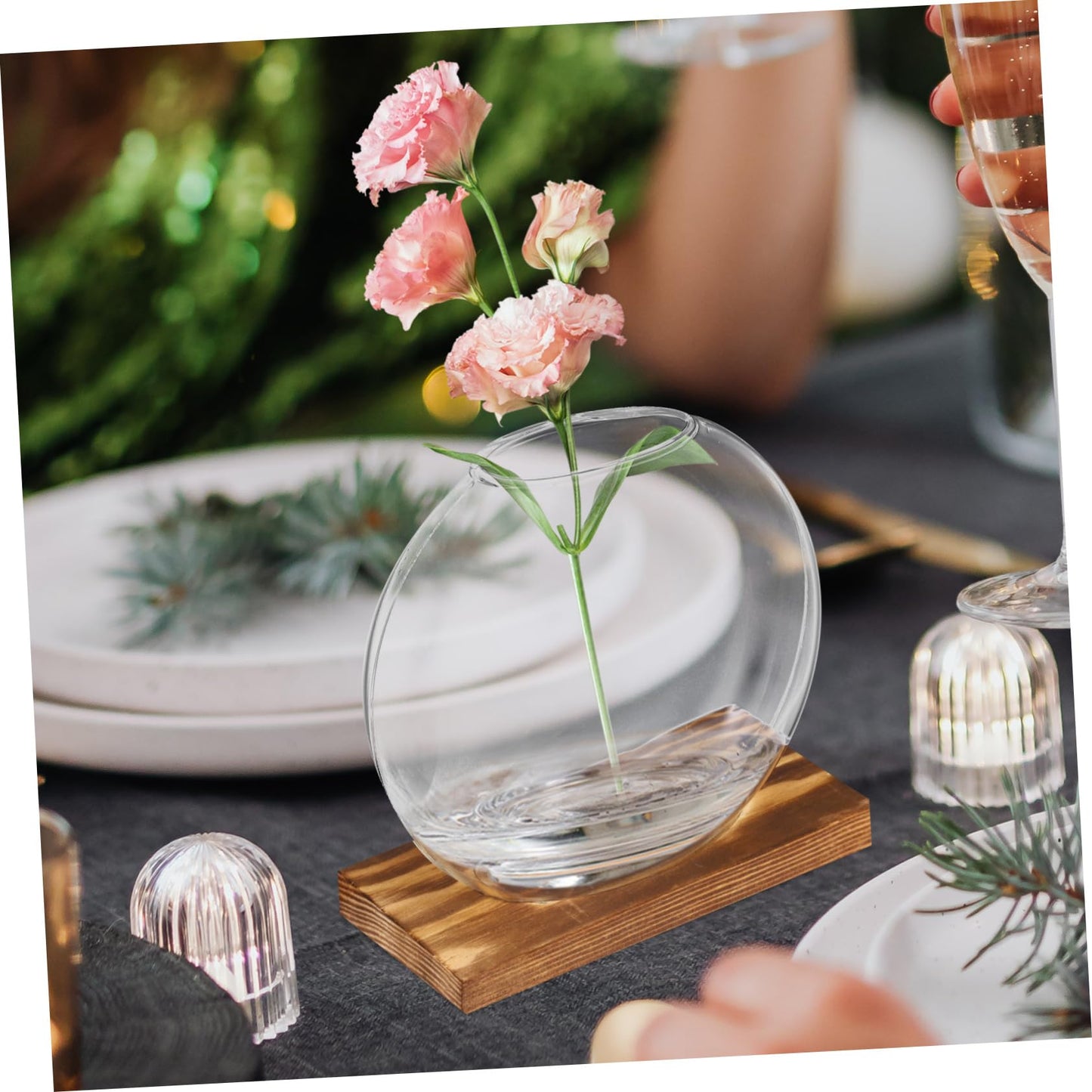 Kisangel 2Sets Clear Glass Planters for Indoor Plants with Base Artistic Propagation Terrariums for Home Office and Exhibition Decor Stylish Hydroponic Vases