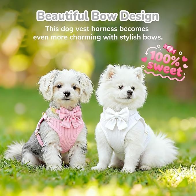 Small Dog Collar Harness and Leash Set with Bowtie, Adjustable Dog Harness Collar and Leash Set with Secure Metal Buckle, Breathable Cotton Adjustable Pet Puppy Harness, Easy Walk Harness, M(16-21")