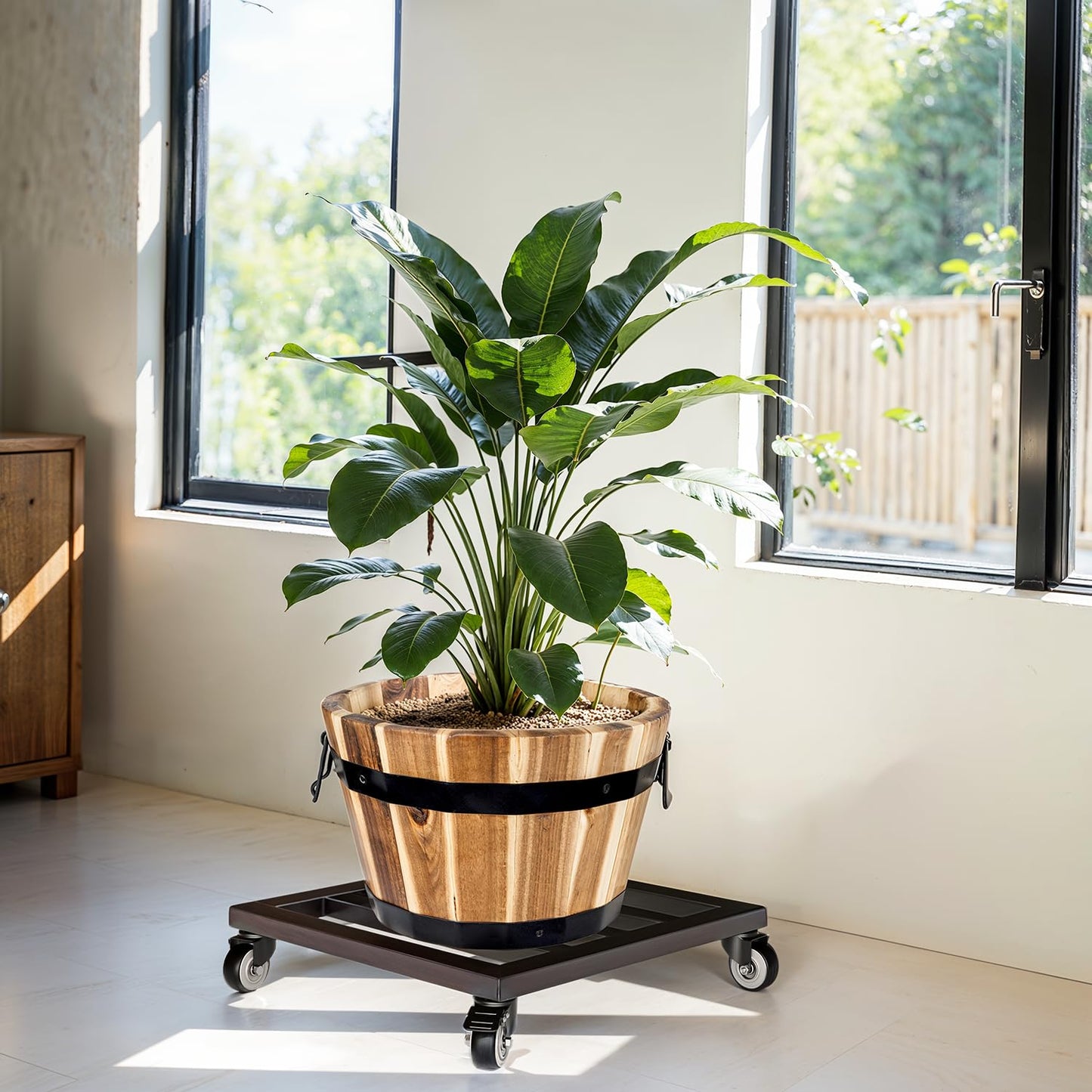 Idzo Plant Caddy with Wheels Lockable Heavy Duty Trolley Capacity 385 Lbs, Metal Cast Iron Plant Dolly, Plant Stand with Wheels Repositioning Heavy Pots 12Inch, Hauling Heavy Household Items - Black