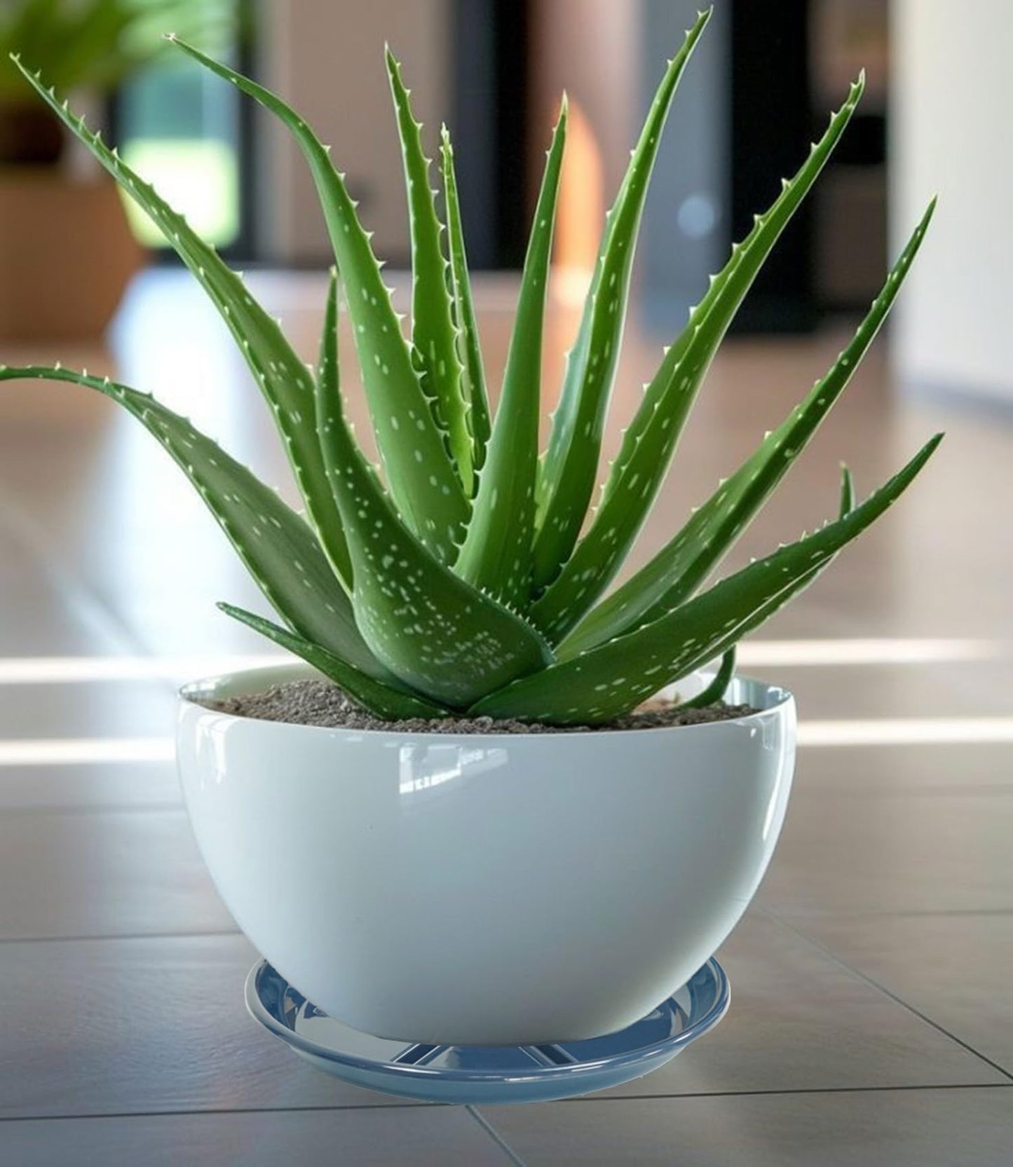 OVZILKI 2 Pack of Plant Saucer 10 inch, Large Heavy Duty Plastic Saucers Round, Plant Drip Trays for Indoors Outdoor, Plant Water Tray for Planters, Blue