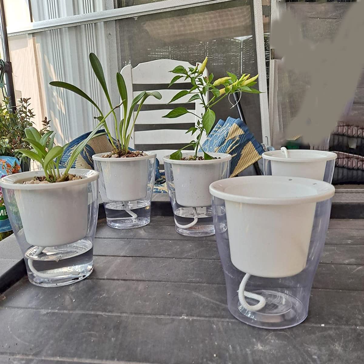 MAHIONG 5 Pack 7 Inch Self Watering Planters with White Wick, Plastic Self Watering Pots for Indoor Plants Flowers House Garden, African Violet Pot, Clear & White