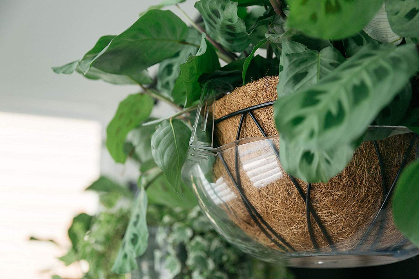 Curtis Wagner Plastics Wire Coco Hanging Basket Drip Pans (5-Pack) | Clear, Round (Top 12” - 14", Depth 3.75") Hanging Plant Tray Saucer with Built-in Hooks & Water Catcher for Indoor & Outdoor