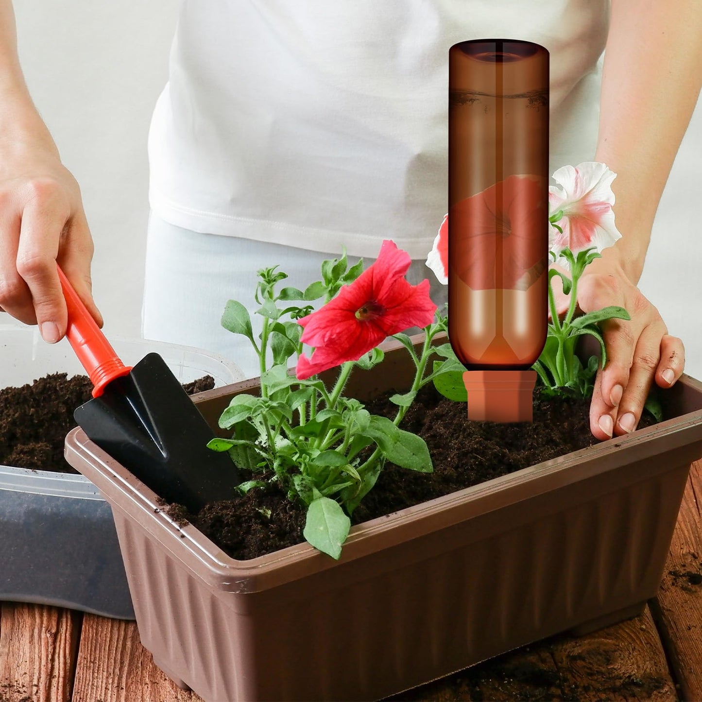 SiliFine 6 Sets Plant Watering Devices Include Terracotta Self Watering Spikes and 26 oz Plastic Bottles, Slow Release Vacation Insert Automatic Plant Waterer Device (Green Clear Brown and Terracotta)