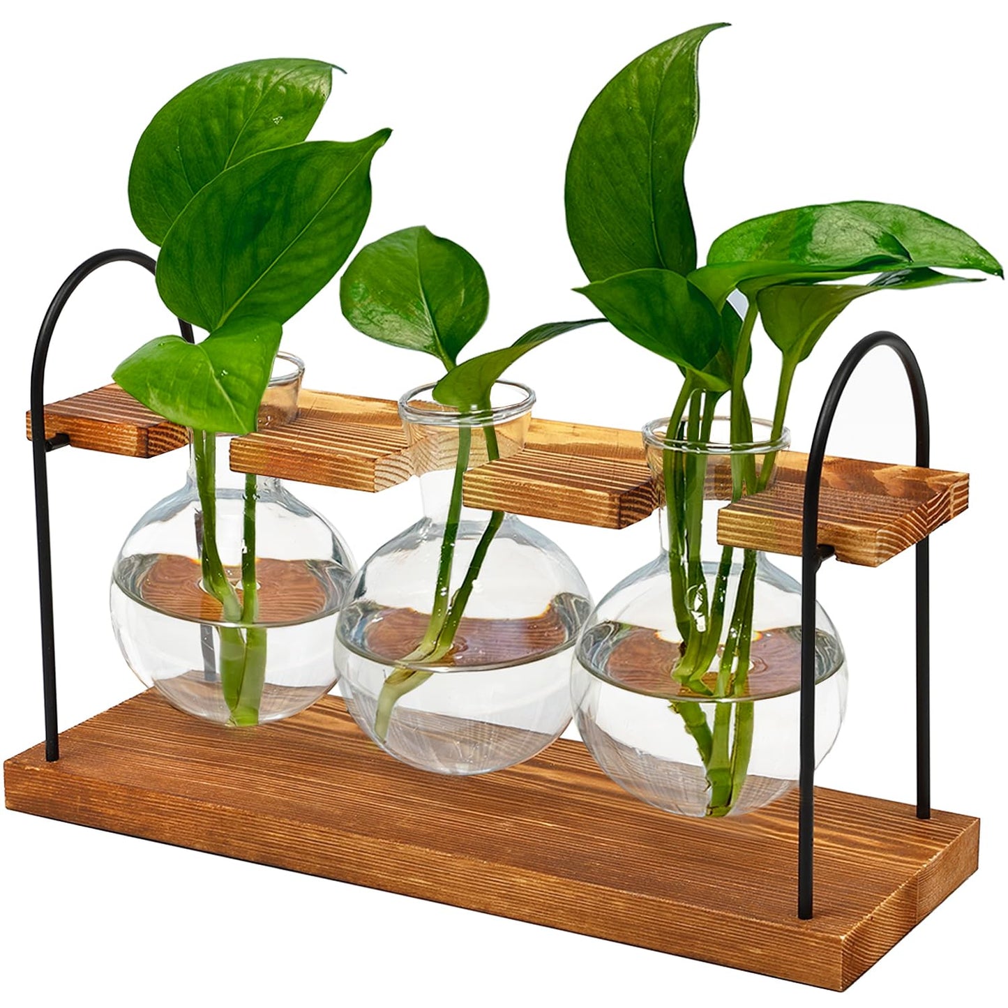 Plant Terrarium with Wooden Stand, The Ultimate Gift for Plant Lovers, Propagation Station with Retro Glass Bulbs, Creating a Stunning Tabletop Display of Hydroponic Greenery in Any Home or Office