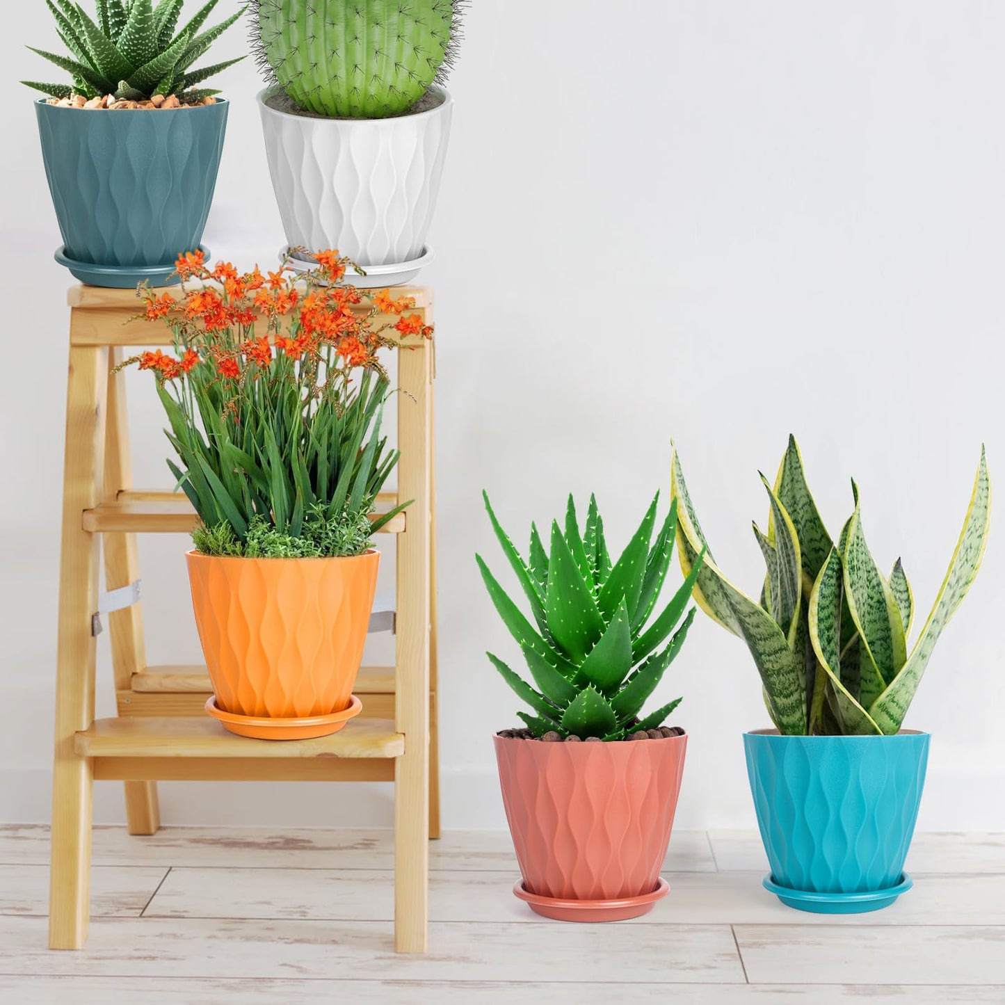 5 Pack Indoor 6 Inch Plant Pots, Flower Pots Outdoor Planter Planting with Drainage Holes, and Tray Saucers for All Home Gardens Succulents