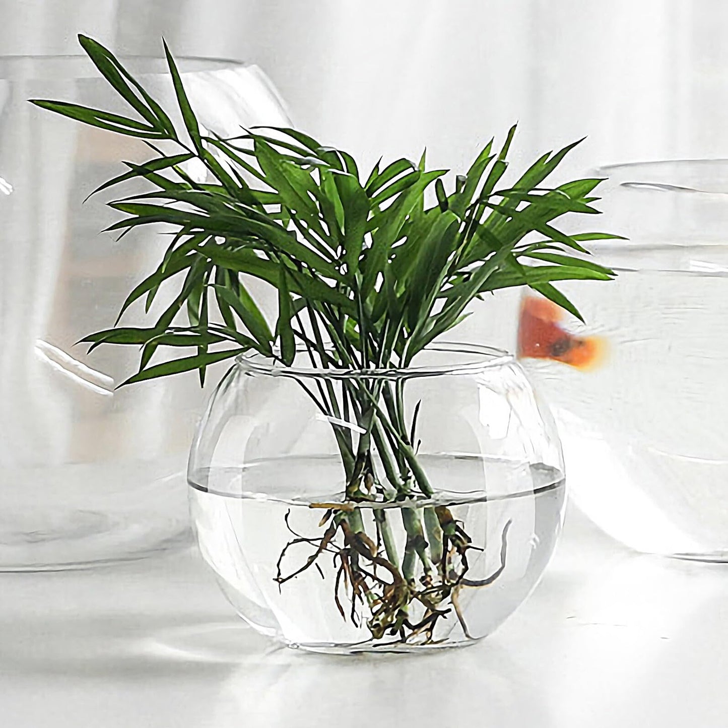 Healeved Glass Hydroponic Plant Vase 20cm Round Fish Tank Terrarium Holder Desktop Flower Pot for Home Office Decor