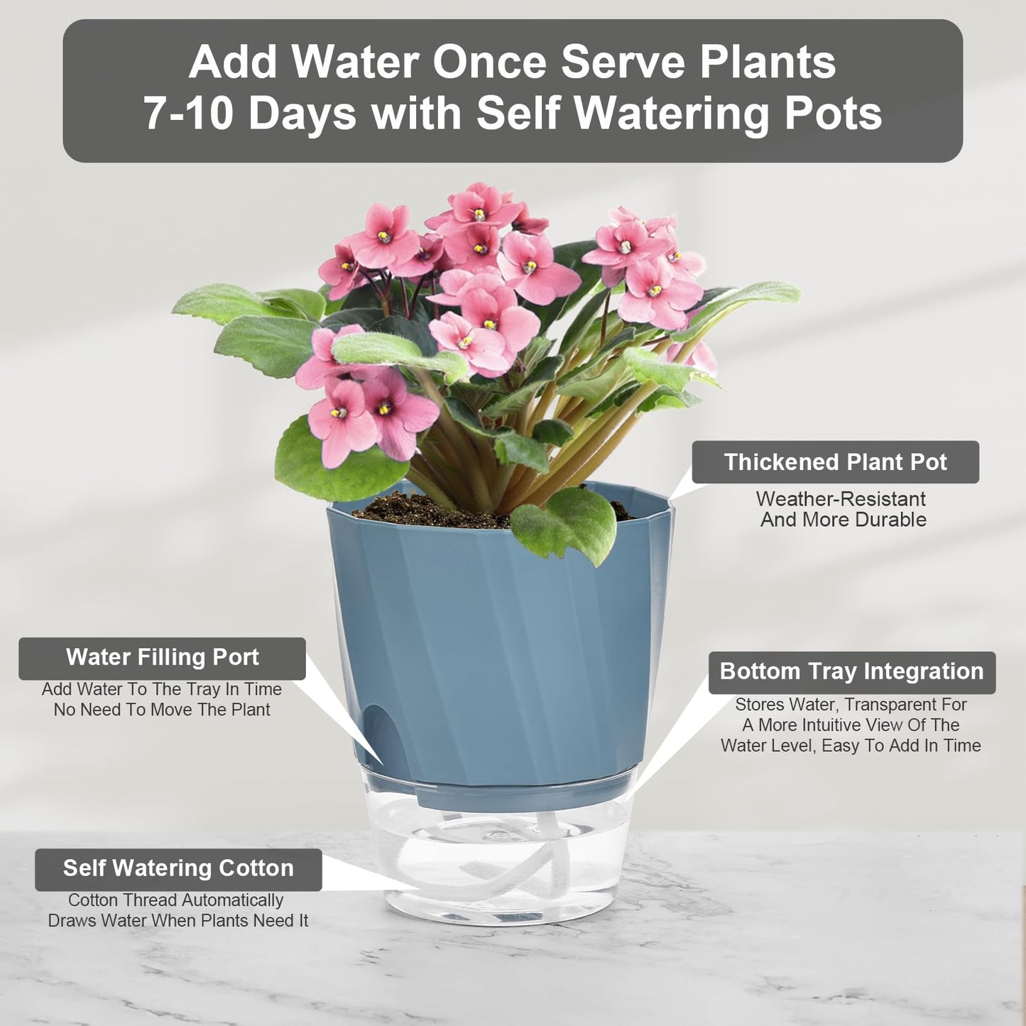 KIMCHOMERSE Self Watering Plant Pots 4.7 Inch, 3 Pack Indoor Planters with Drainage Holes & Saucers, Decorative Plastic Flower Pots for House Plants Home Office Decor (White, Pink, Blue)