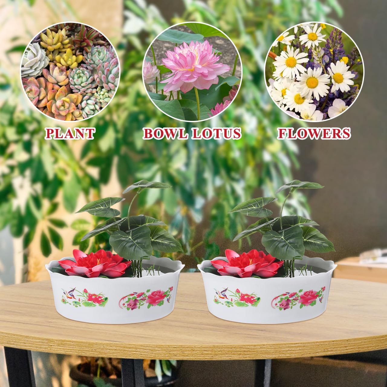 HANABASS 3 Pcs Hydroponic Lotus Water Lily Planter Planting Bowl Round Shallow Flowerpot Container Fish Bowl for Water Lily, Succulent, Aquatic Plant Garden Decoration
