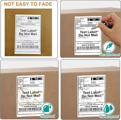 FungLam 10 Rolls 4"x6" Direct Thermal Printer Label, Shipping Labels Compatible with Zebra, Rollo and Most Thermal Printer, Perforated Postage Label Paper, 250 Labels/Roll