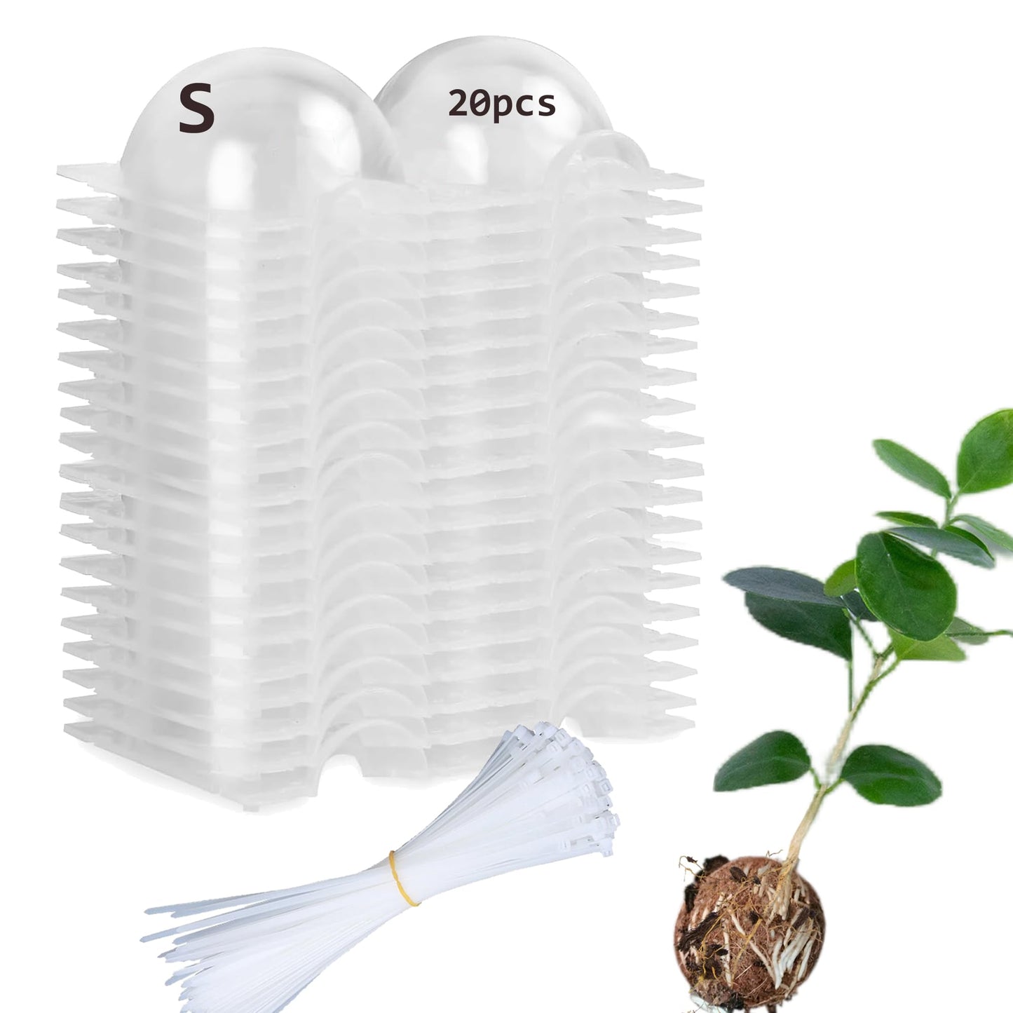 Lazzineer Tree Root Growing Box, Reusable Transparent Plants Asexual Reproduction Grafting Ball, High Pressure Air Layering Pods Propagation Kit (20pcs Small)