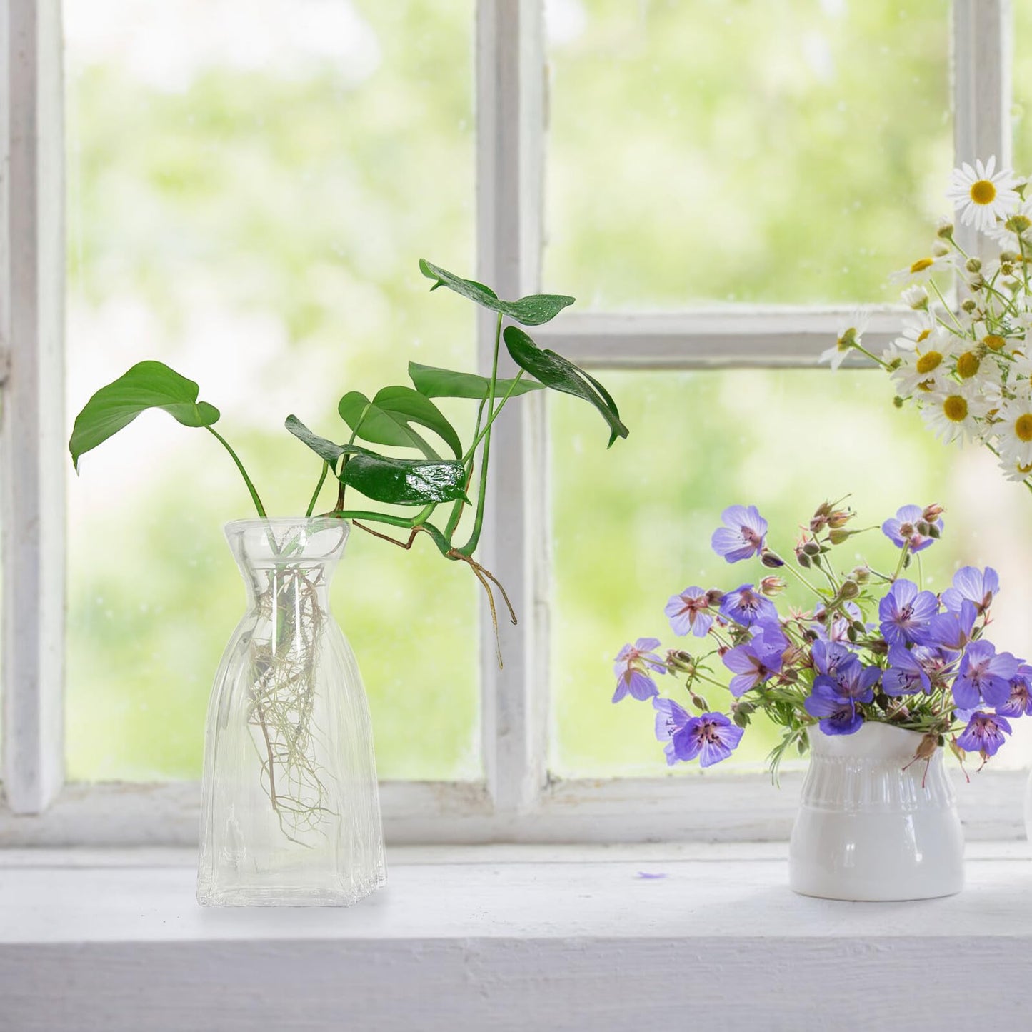 Sewroro 4pcs Decorative Glass Vases Small Terrarium Flower Vases for Hydroponic Plants Desk Home Décor Minimalist Glass Flower Containers