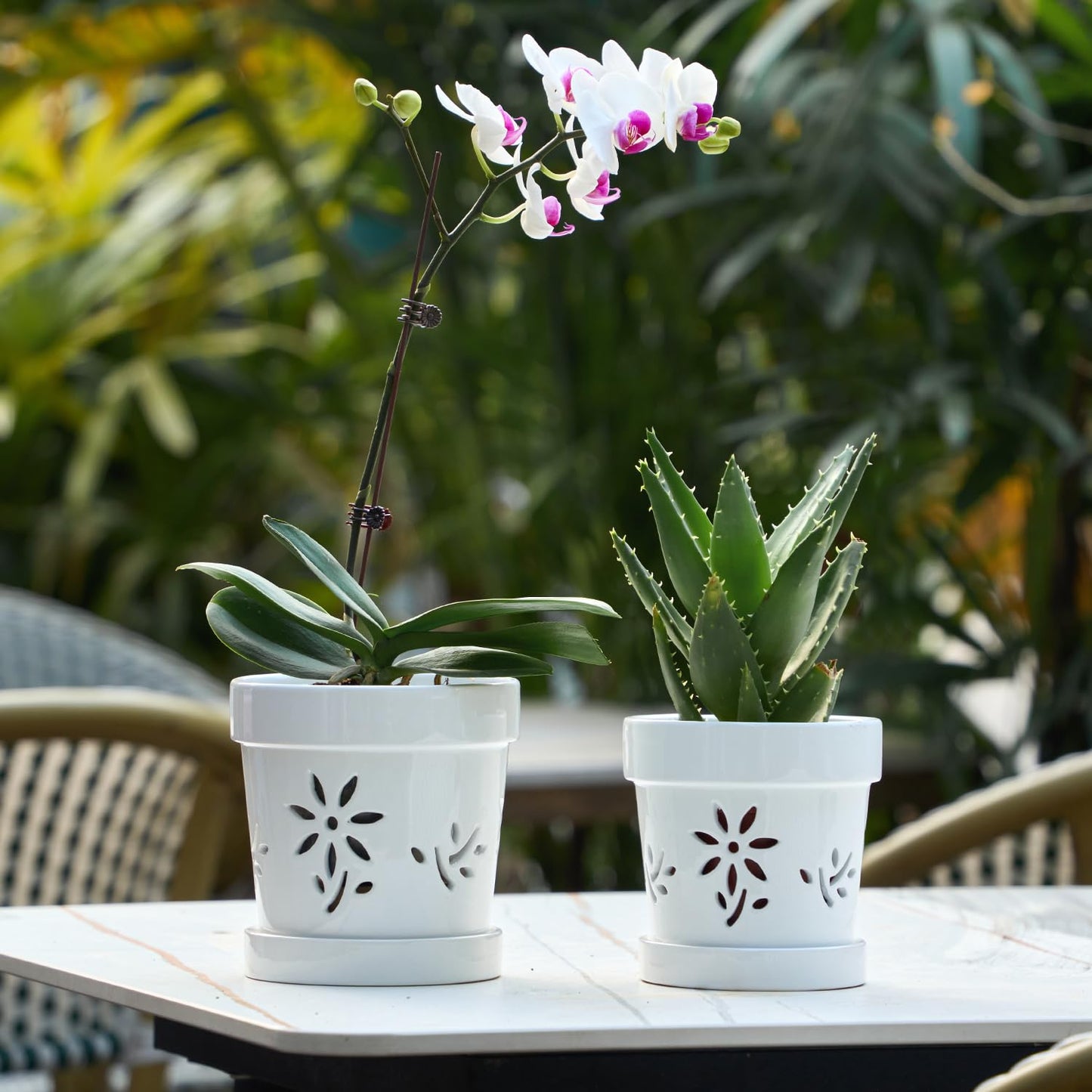 STHIE Small Orchid Pots with Holes 5 Inch & 6 Inch, Ceramic Orchid Pots for Repotting, 2 Pack Breathable Slotted Orchids Planter, White Flower