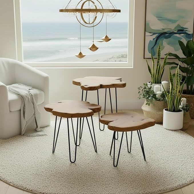 WELLAND Live Edge Cedar End Table, Unique Desktop Side Table, Natural Clear