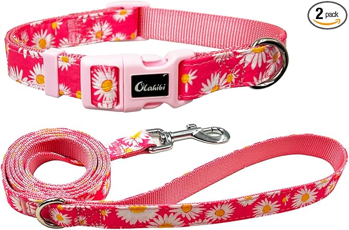 Dog Collar Leash Set, Floral Pattern, Nylon Webbing Plus Cotton Ribbon, 5ft Matching Leash, for Small Dogs.(S, Pink Daisy)