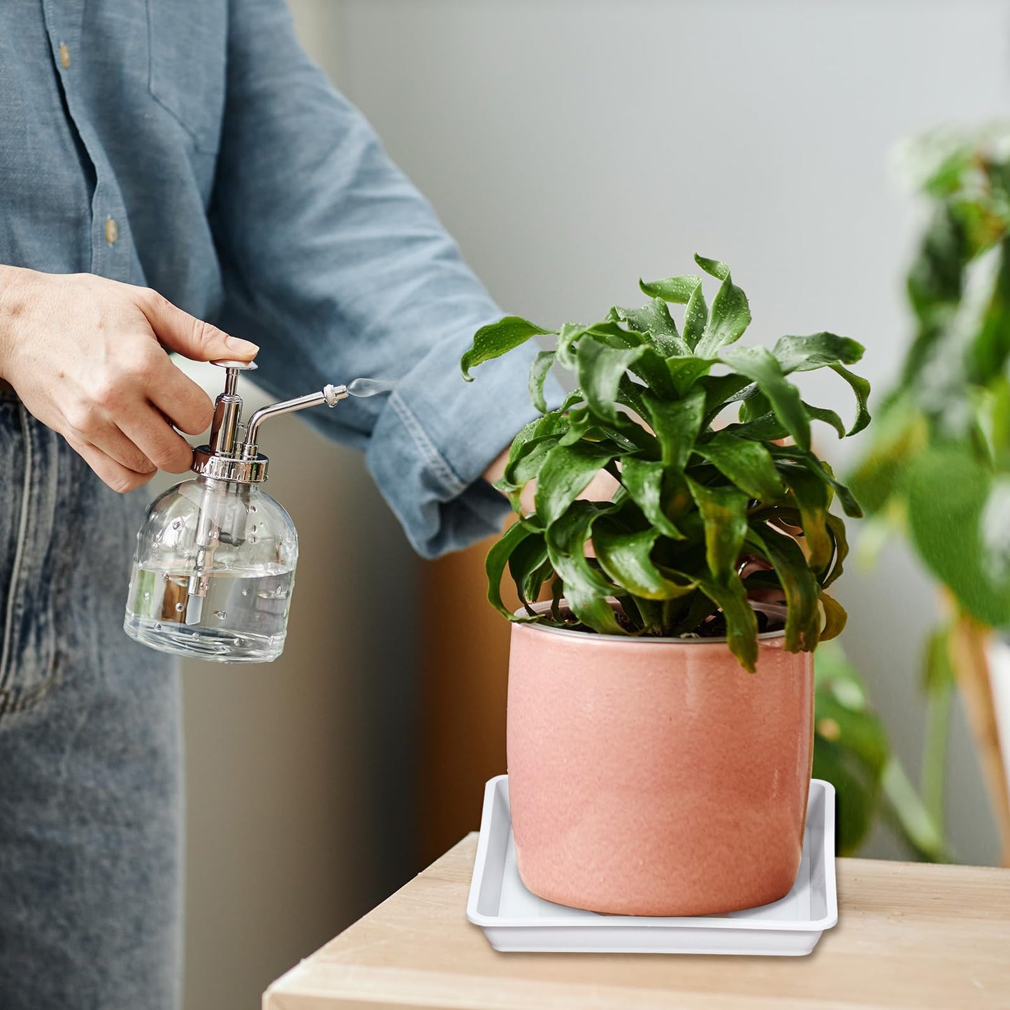 TIXIPEM 7IN Plant Pot Saucer [4PCS] - Square Flower Drip Tray Use for Indoor Outdoor Courtyard Garden Potted Water Drips and Soil - [White] Plastic Flower Pot Trays