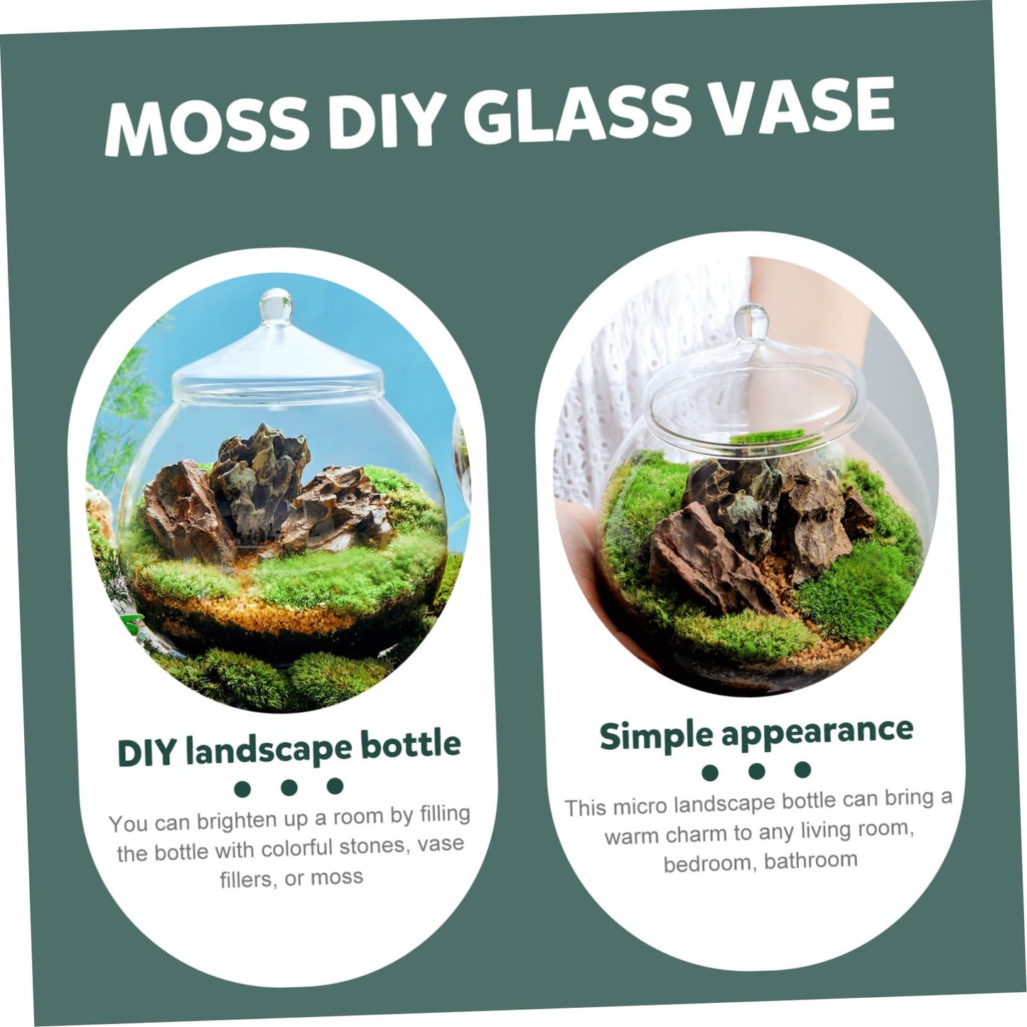 Glass Plant Terrarium Lid Eco Bottle Terrarium Jars Moss Ball Decorative Vase Style