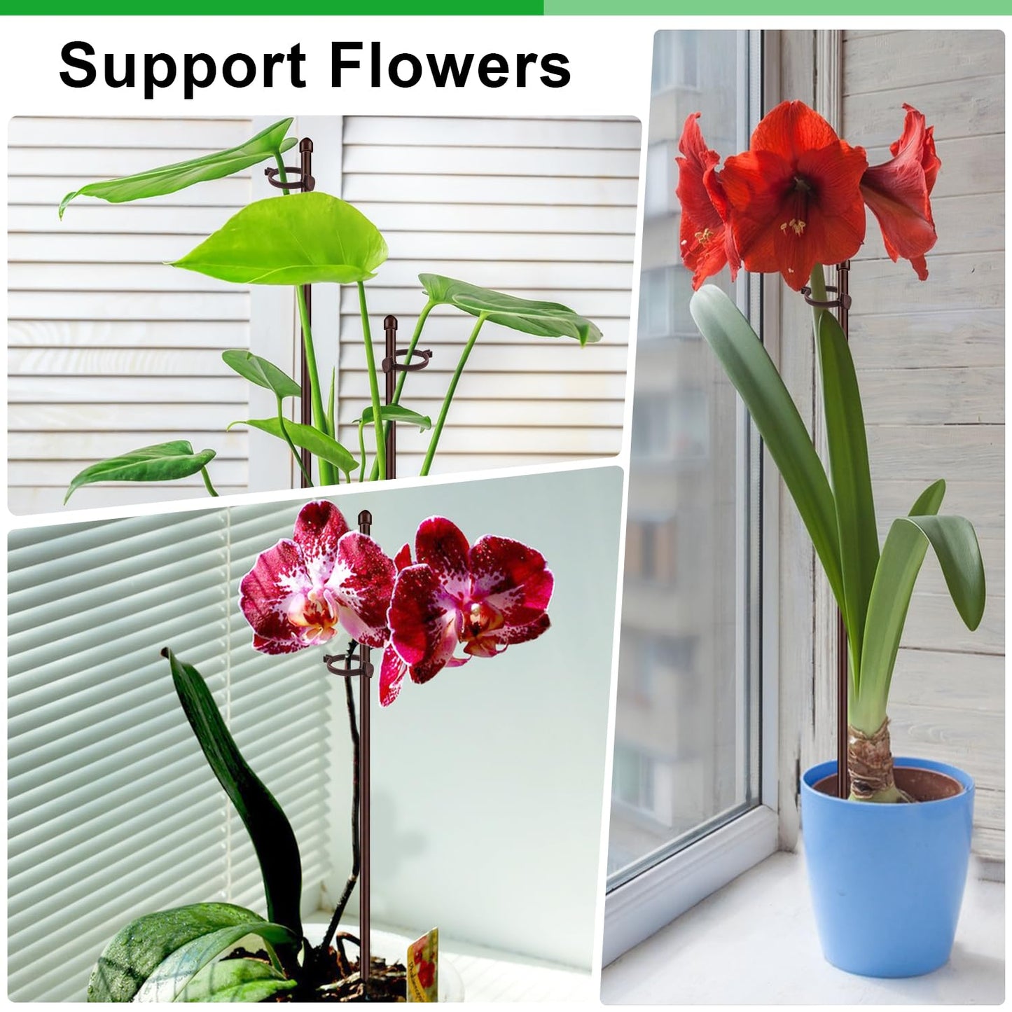 30Pcs Plant Support Stakes 17 inch SupKing Garden Orchid Sticks Extended to 3ft 4ft 5ft Plant Poles with Clips for Indoor Outdoor Potted Tomato Rose Amaryllis Vegetables Comes with 20 Ties(Brown)