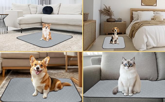 DAHAPYBOO Washable Pee Pads for Dogs 36x41,6Pack | Reusable Puppy Pads for Dogs Non-Slip Waterproof Pet Training Pads for Crate, Playpen, Bed, Sofa,Whelping Box, Potty Training