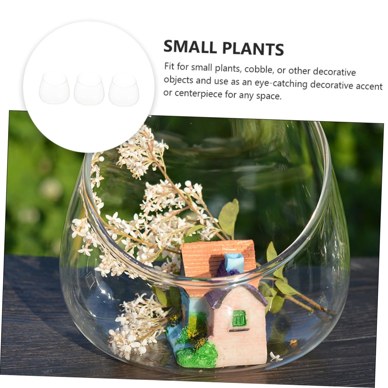 Toyvian Succulent Vase 3pcs Slant Cut Glass Ecological Bottles for Desktop Terrarium Plant Decoration