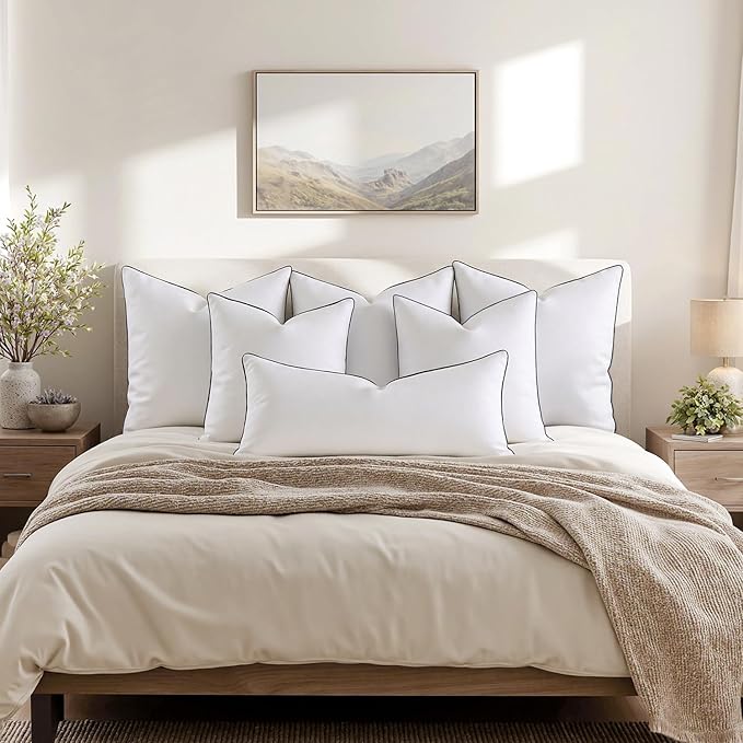 MIULEE Goose Feather Down 26x26 Euro Pillow Insert Set of 2